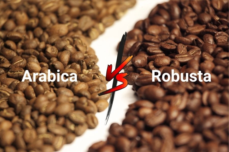 Arabica và robusta